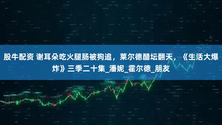 股牛配资 谢耳朵吃火腿肠被狗追，莱尔德醋坛翻天，《生活大爆炸》三季二十集_潘妮_霍尔德_朋友