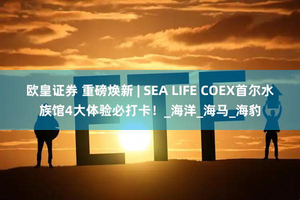 欧皇证券 重磅焕新 | SEA LIFE COEX首尔水族馆4大体验必打卡！_海洋_海马_海豹