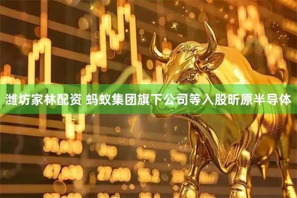 潍坊家林配资 蚂蚁集团旗下公司等入股昕原半导体