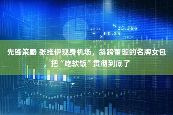 先锋策略 张维伊现身机场，斜跨董璇的名牌女包，把“吃软饭”贯彻到底了