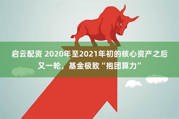 启云配资 2020年至2021年初的核心资产之后又一轮，基金极致“抱团算力”
