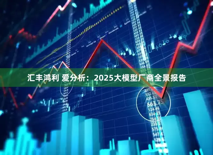 汇丰鸿利 爱分析：2025大模型厂商全景报告