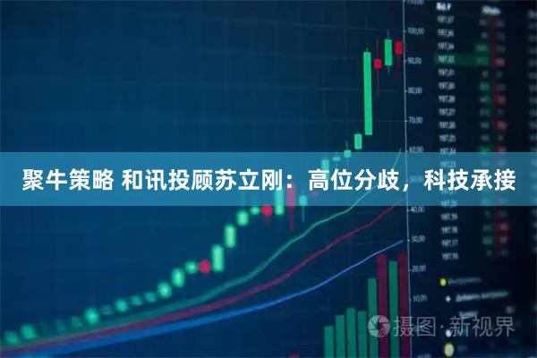 聚牛策略 和讯投顾苏立刚:高位分歧,科技承接