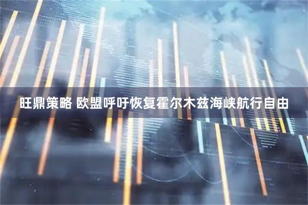 旺鼎策略 欧盟呼吁恢复霍尔木兹海峡航行自由
